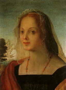 Rosso Fiorentino : Portrait of a Young Woman